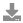 download icon